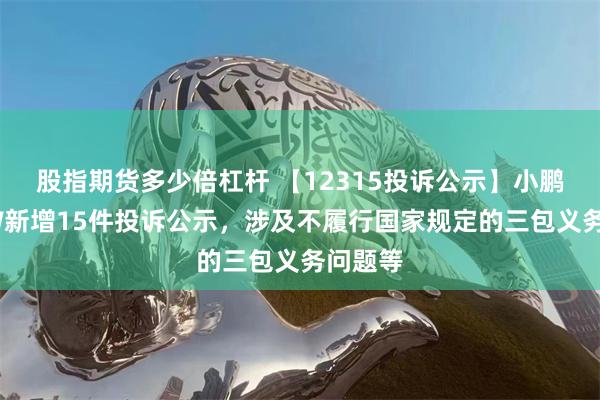 股指期货多少倍杠杆 【12315投诉公示】小鹏汽车-W新增15件投诉公示，涉及不履行国家规定的三包义务问题等