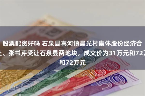 股票配资好吗 石泉县喜河镇晨光村集体股份经济合作社、张书芹受让石泉县两地块，成交价为31万元和72万元