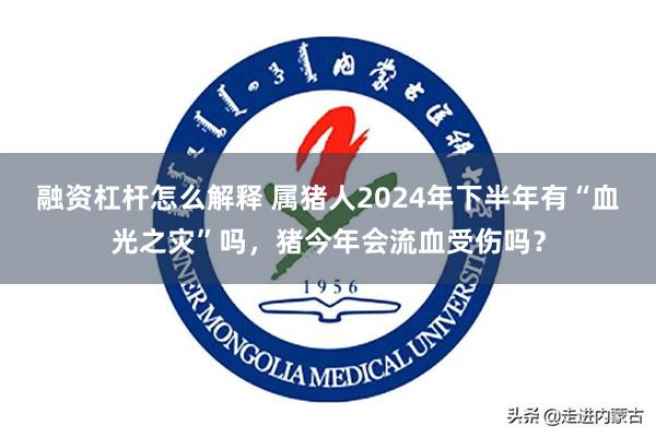 融资杠杆怎么解释 属猪人2024年下半年有“血光之灾”吗，猪今年会流血受伤吗？