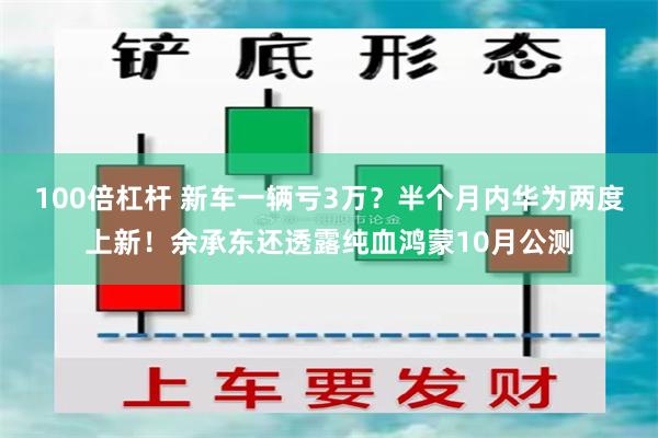 100倍杠杆 新车一辆亏3万？半个月内华为两度上新！余承东还透露纯血鸿蒙10月公测