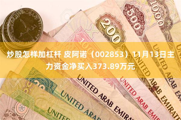 炒股怎样加杠杆 皮阿诺（002853）11月13日主力资金净买入373.89万元