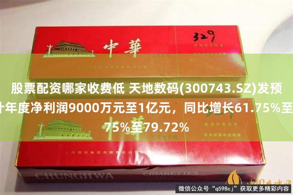 股票配资哪家收费低 天地数码(300743.SZ)发预增，预计年度净利润9000万元至1亿元，同比增长61.75%至79.72%