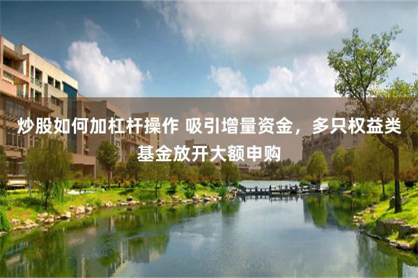 炒股如何加杠杆操作 吸引增量资金，多只权益类基金放开大额申购